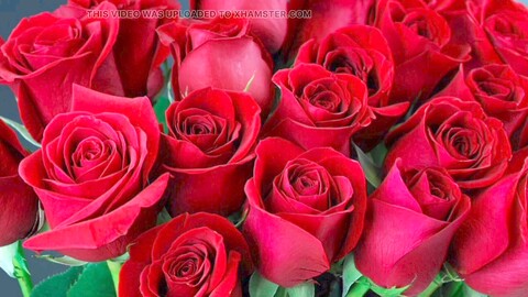 Ai, bangladeshi, mature HD Gay movie